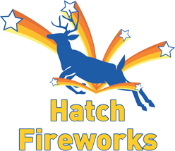 Hatch Fireworks @ Taunton Racecourse 